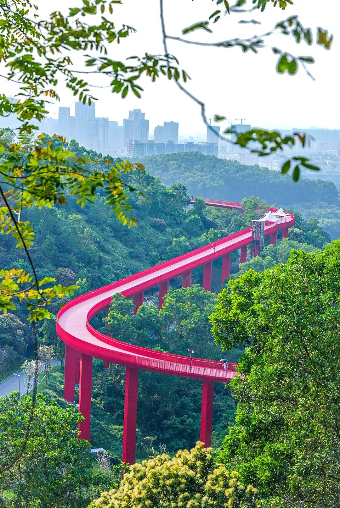 undefined 订阅提到光明很多人想到的是虹桥公园,欢乐田园,大顶岭绿道