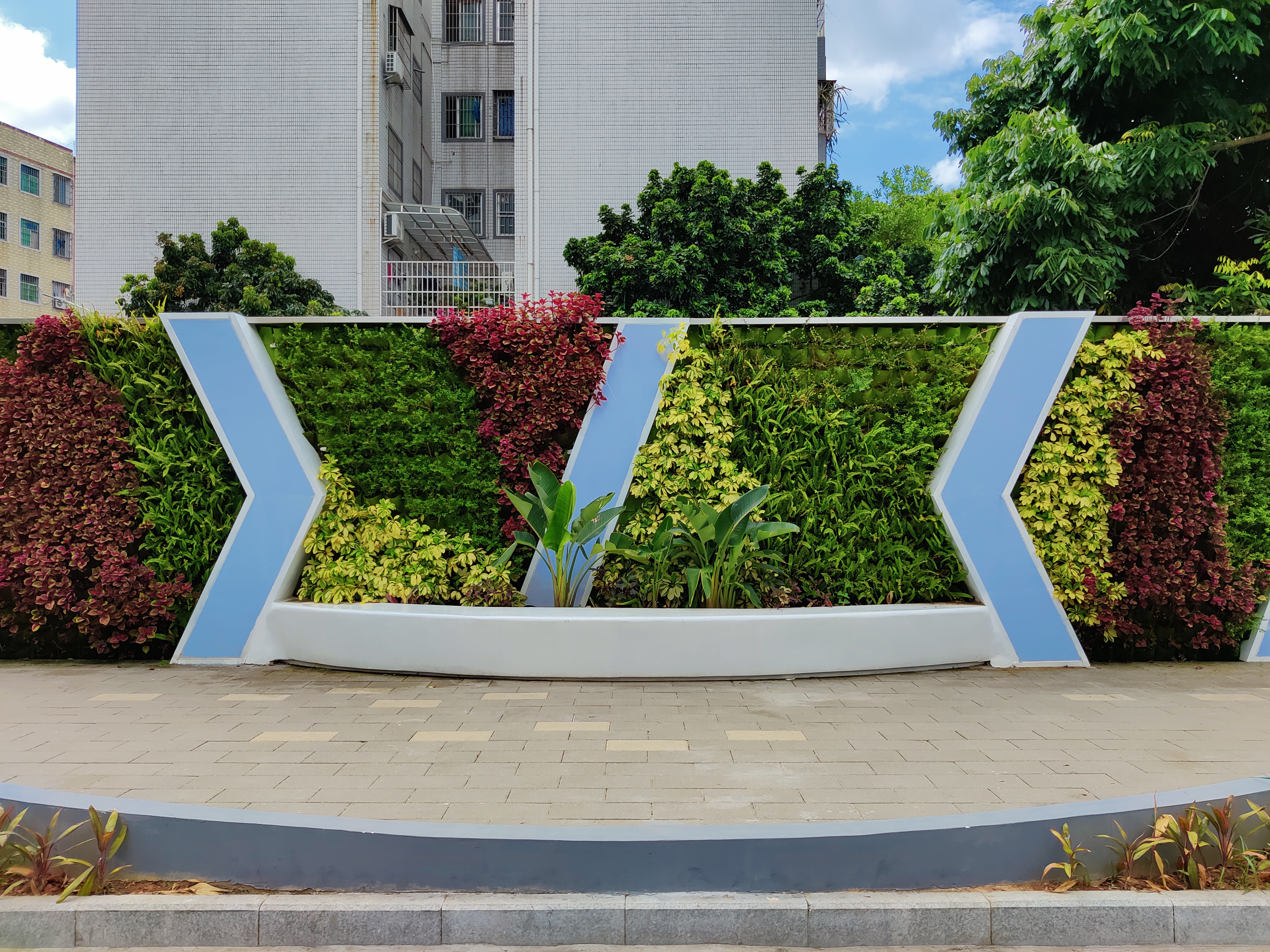 光明区立体绿化项目补贴 申请指南快收好