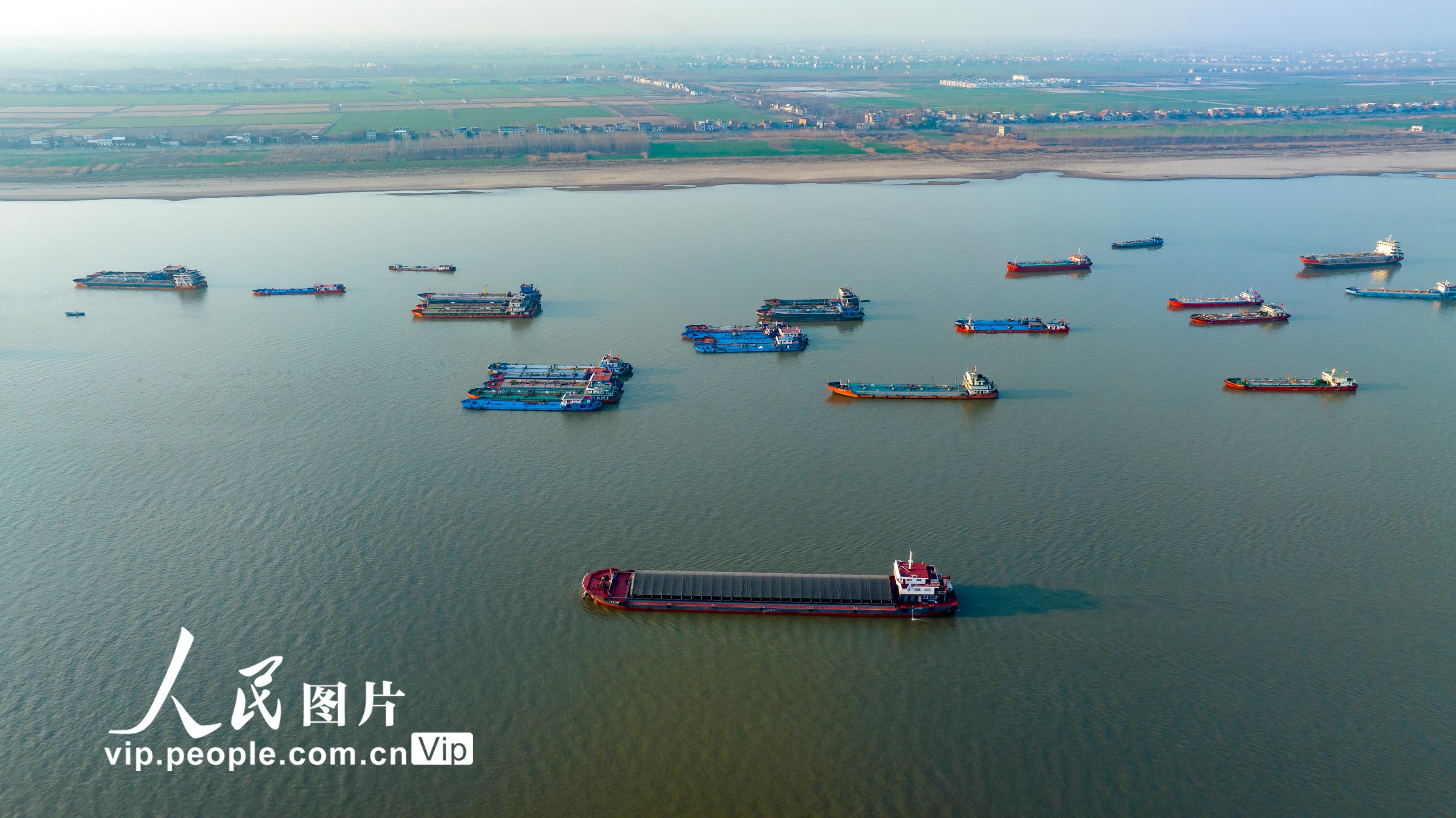 江西湖口:长江航道水运忙